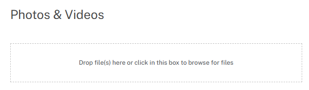 profile - photos section.png